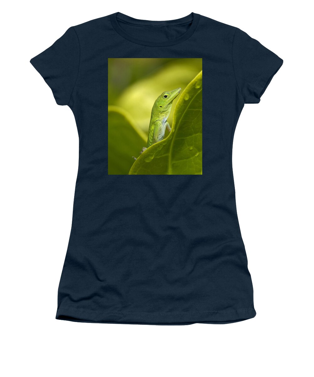 Nature Women's T-Shirt featuring the photograph Peek a Boo by Claudio Bacinello