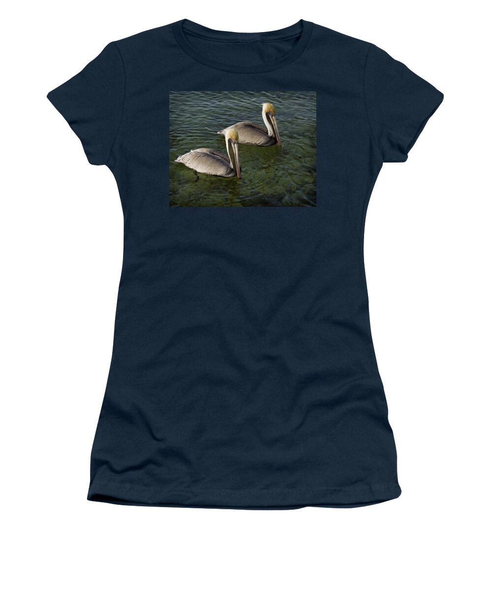 Pelican Women's T-Shirt featuring the photograph Pelicans by Paul Schreiber