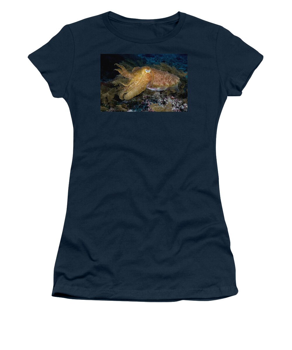 Nis Women's T-Shirt featuring the photograph Pharaoh Cuttlefish Lombok Indonesia by Dray van Beeck