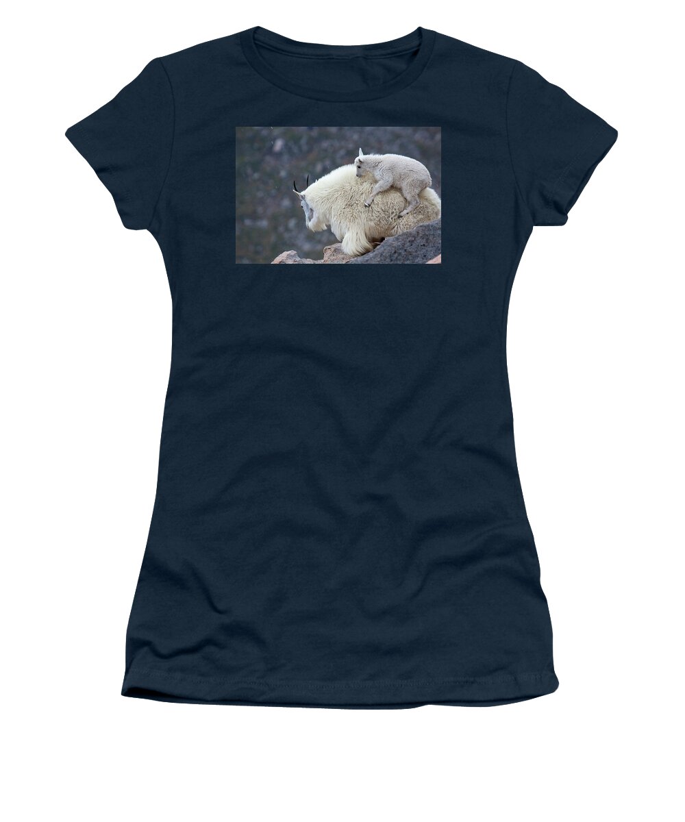 Mountain Goats Print Women's T-Shirt featuring the photograph Piggyback Ride by Jim Garrison