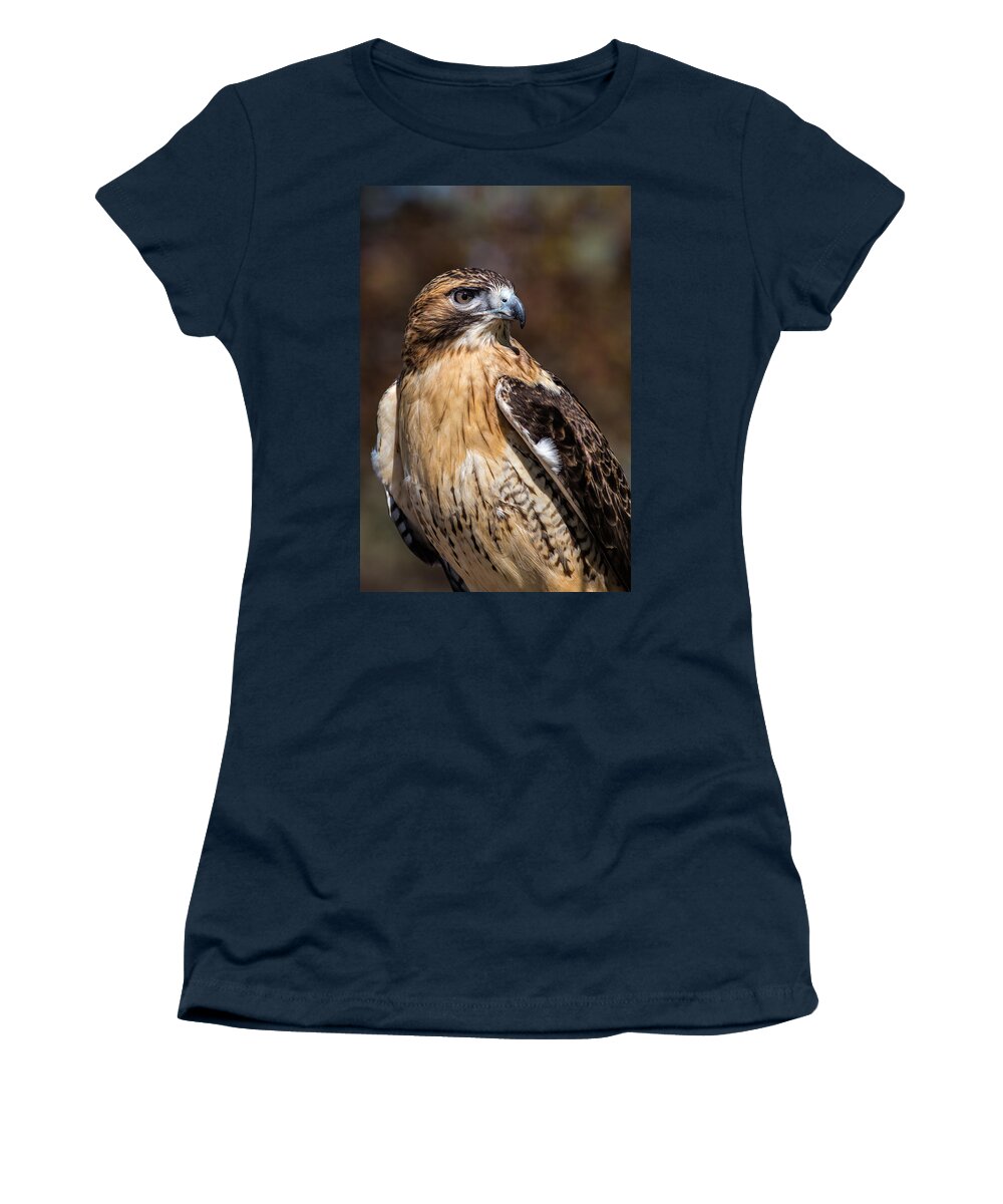 Red Tailed Hawk Women's T-Shirt featuring the photograph Portrait Of A Red Tailed Hawk by Dale Kincaid