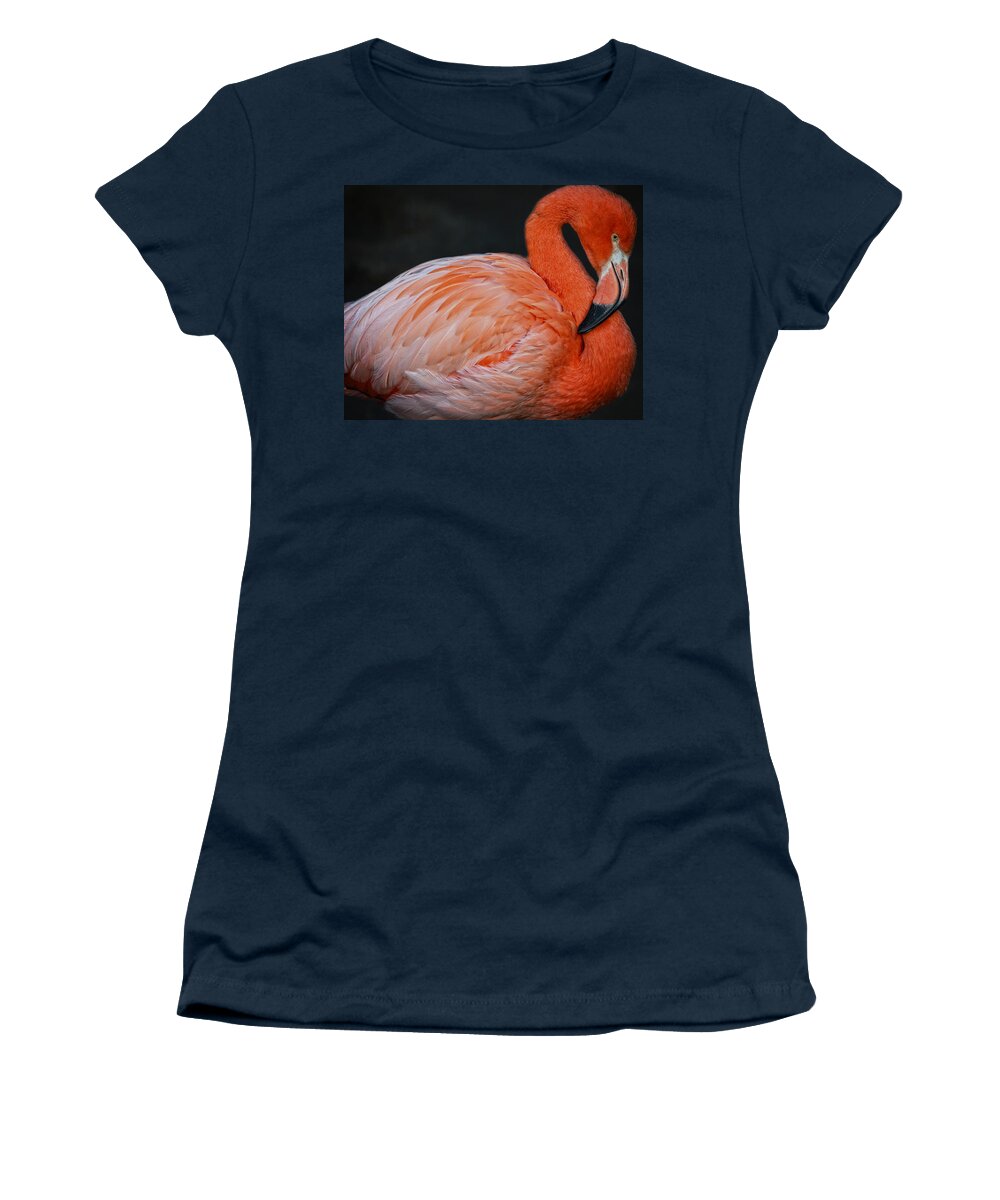 America Women's T-Shirt featuring the photograph Posing Flamingo by Maggy Marsh