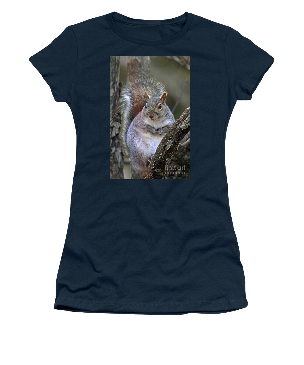 Squirrel Women's T-Shirt featuring the photograph Posing for Peanuts by Cindy Manero