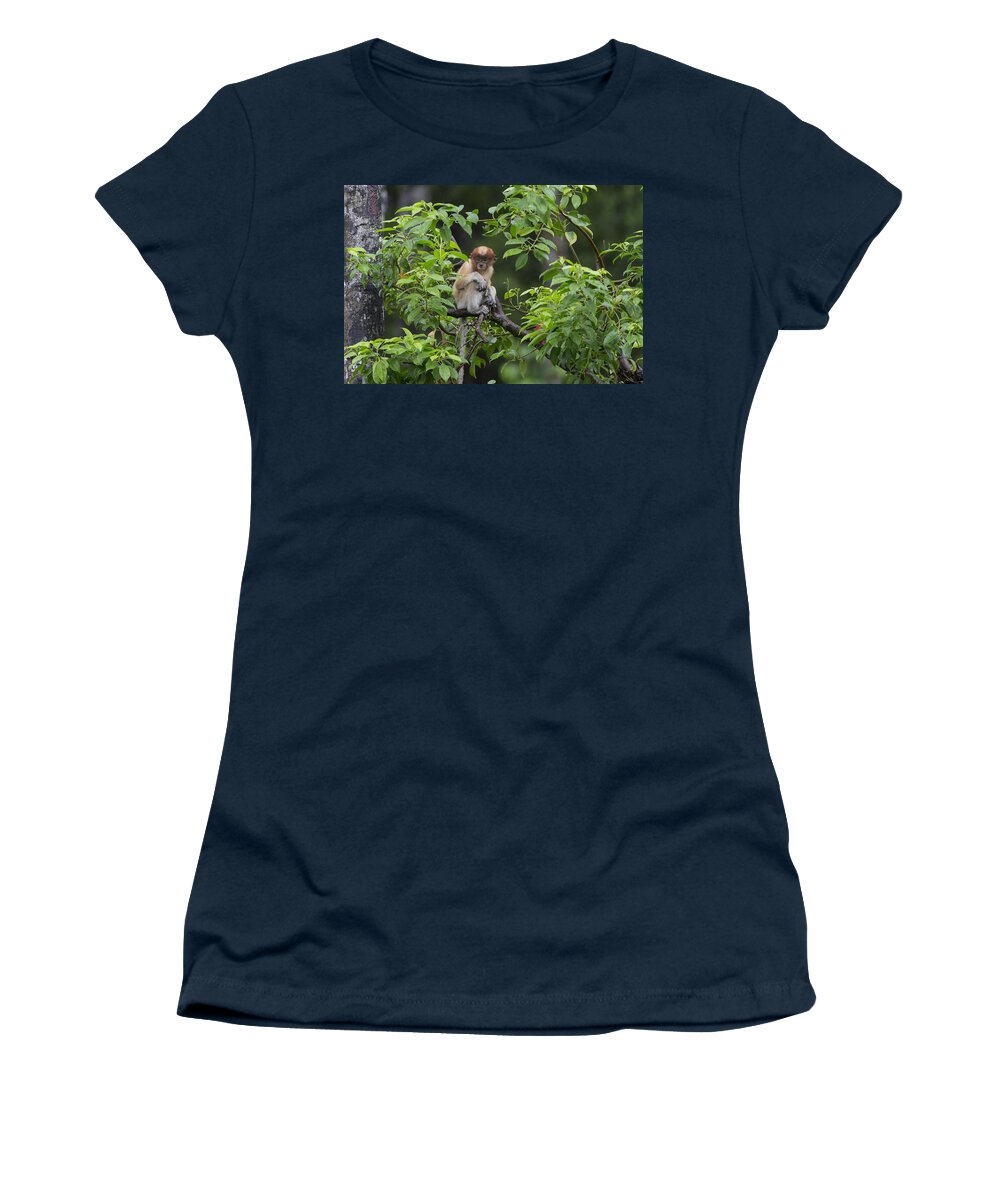 Suzi Eszterhas Women's T-Shirt featuring the photograph Proboscis Monkey Three Month Old Baby by Suzi Eszterhas