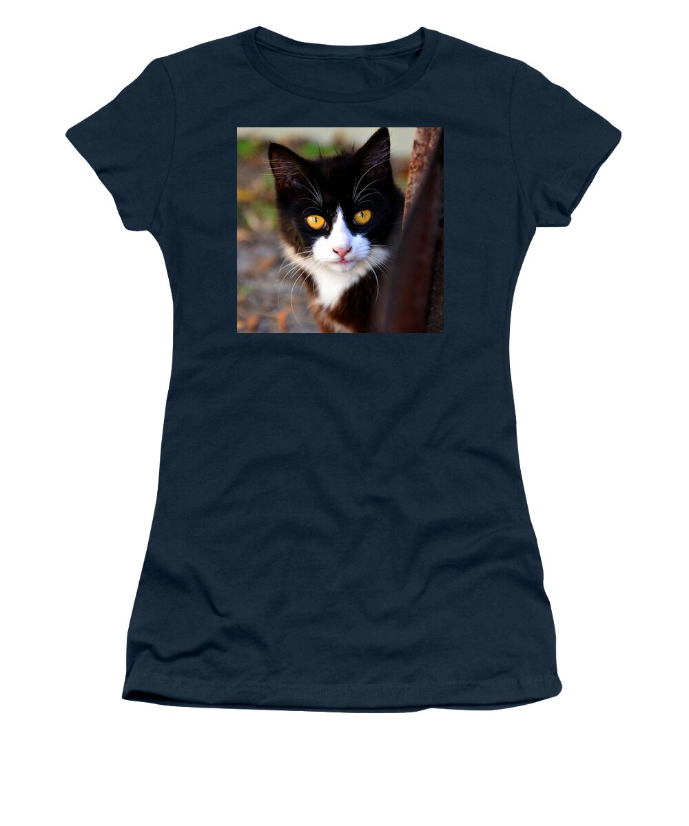 Proud Women's T-Shirt featuring the photograph Proud Cat by David Lee Thompson