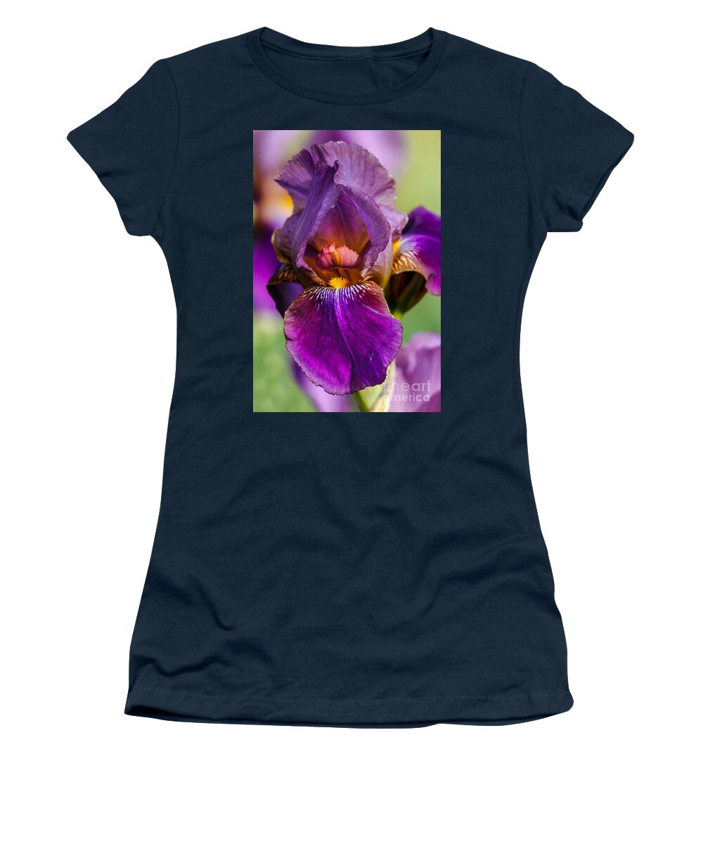 Iris Women's T-Shirt featuring the photograph Purple Flag by Robert Bales