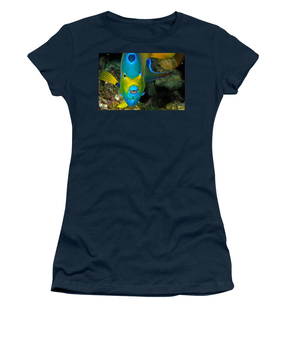 Queen Angelfish Women's T-Shirt featuring the photograph Queen Angelfish Holacanthus Ciliaris by John Maraventano