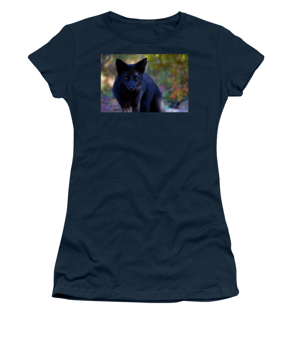 Fox Women's T-Shirt featuring the photograph Reading the Menu by Jim Garrison