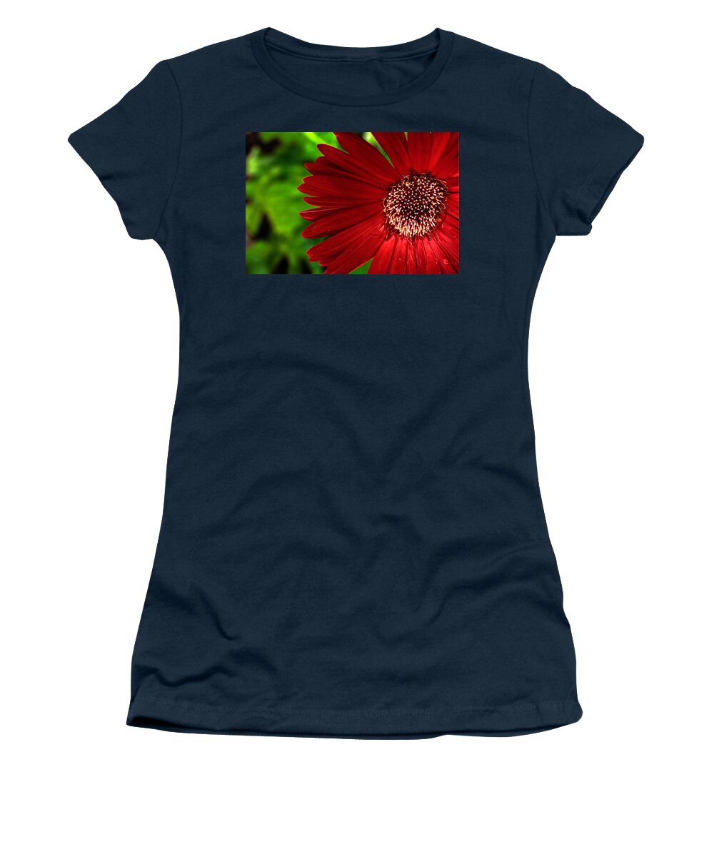Gerber Daisy Women's T-Shirt featuring the photograph Red Gerber Daisy by John Magyar Photography