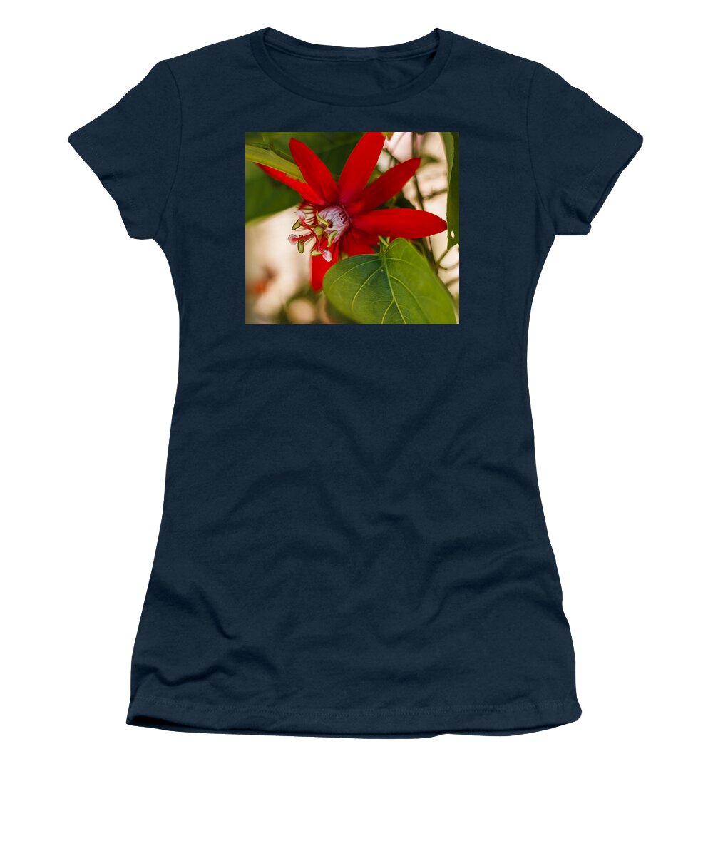 Florida Women's T-Shirt featuring the photograph Red Passion Flower by Jane Luxton