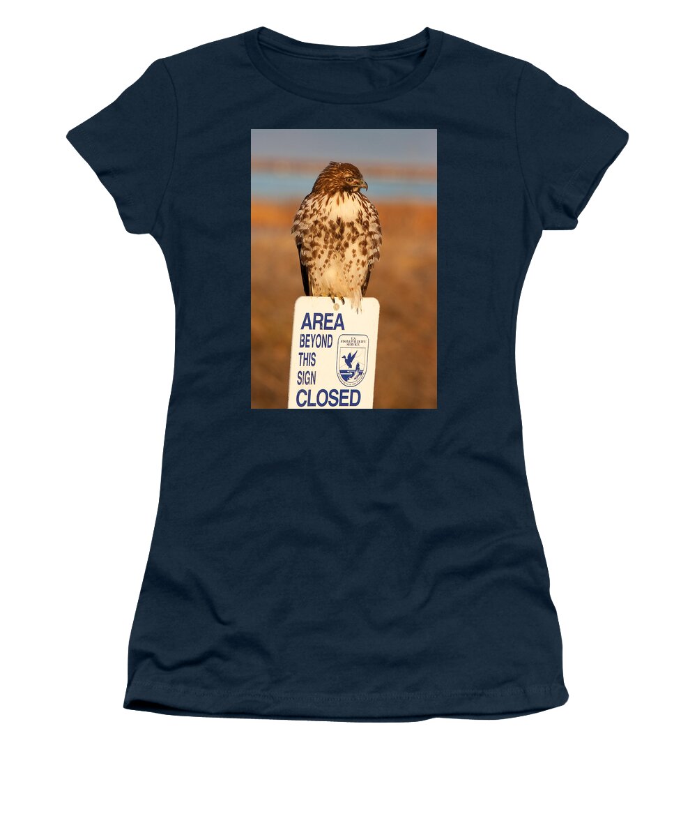 Red-tailed Hawk Women's T-Shirt featuring the photograph Red Tailed Hawk Lower Klamath National Wildlife Refuge Northern California by Ram Vasudev