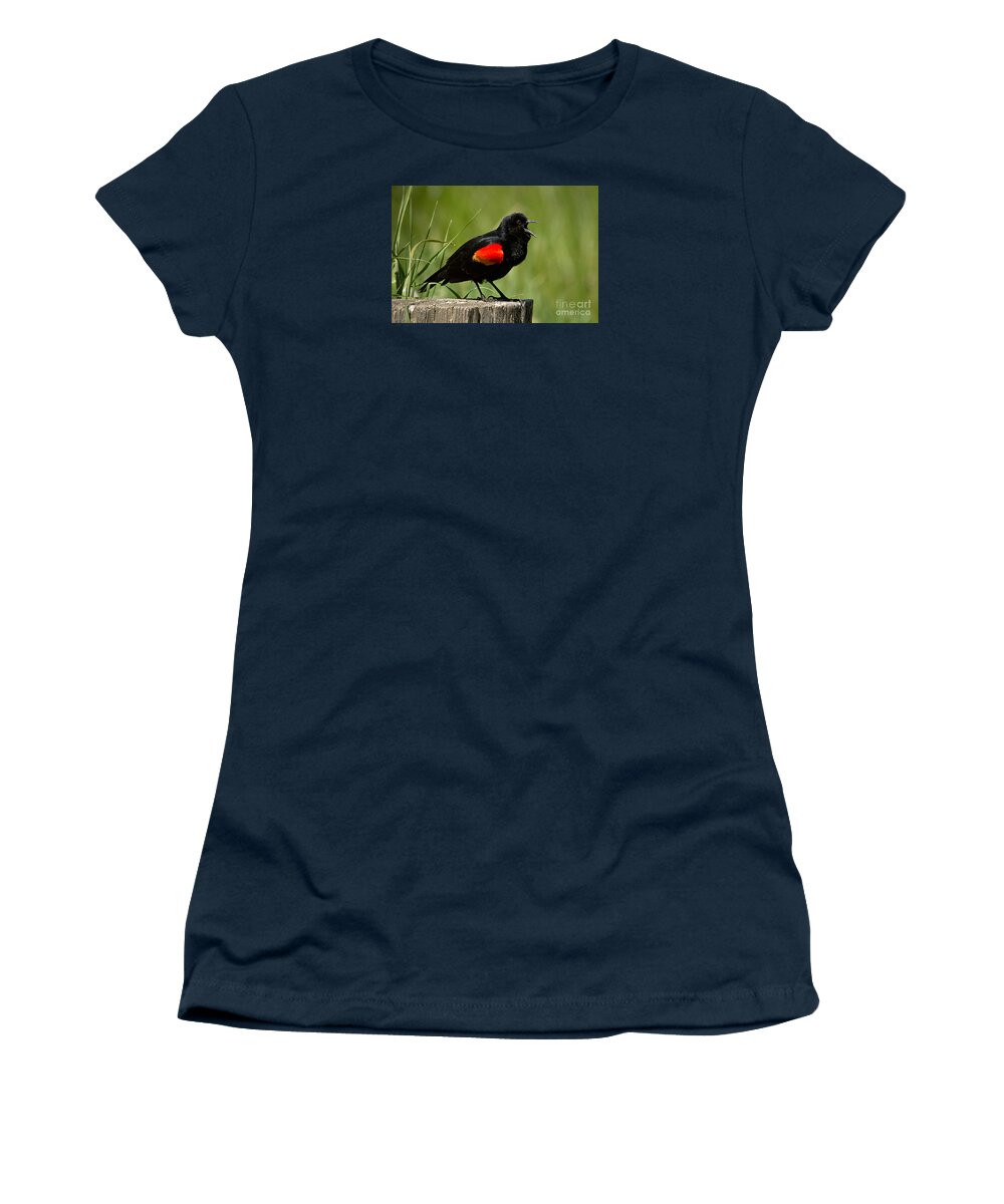 Bird Women's T-Shirt featuring the photograph Red-winged Blackbird singing by Alice Cahill