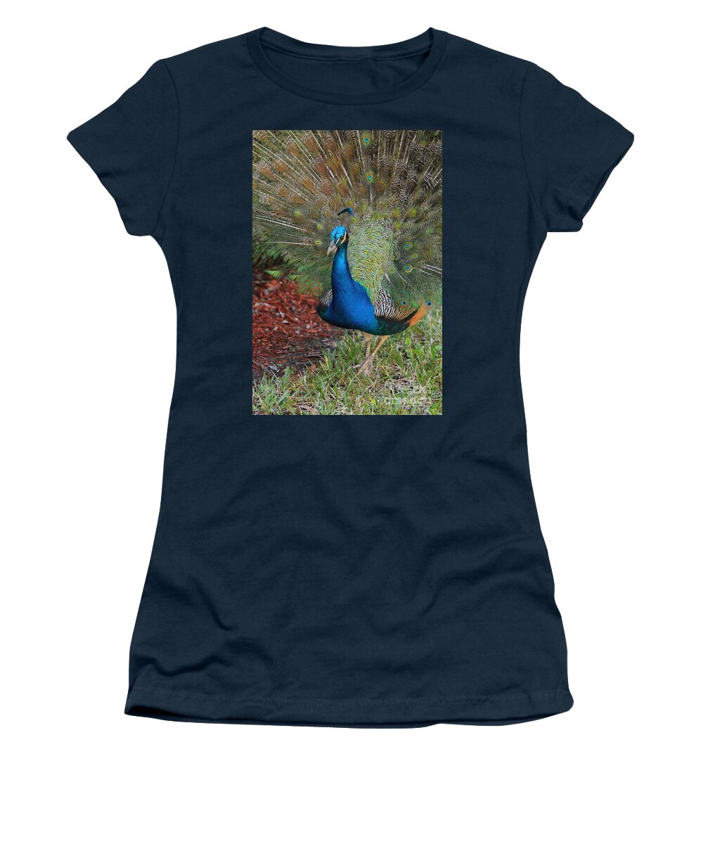 Deborah Benoit Women's T-Shirt featuring the photograph Ridgecrest Peacock by Deborah Benoit
