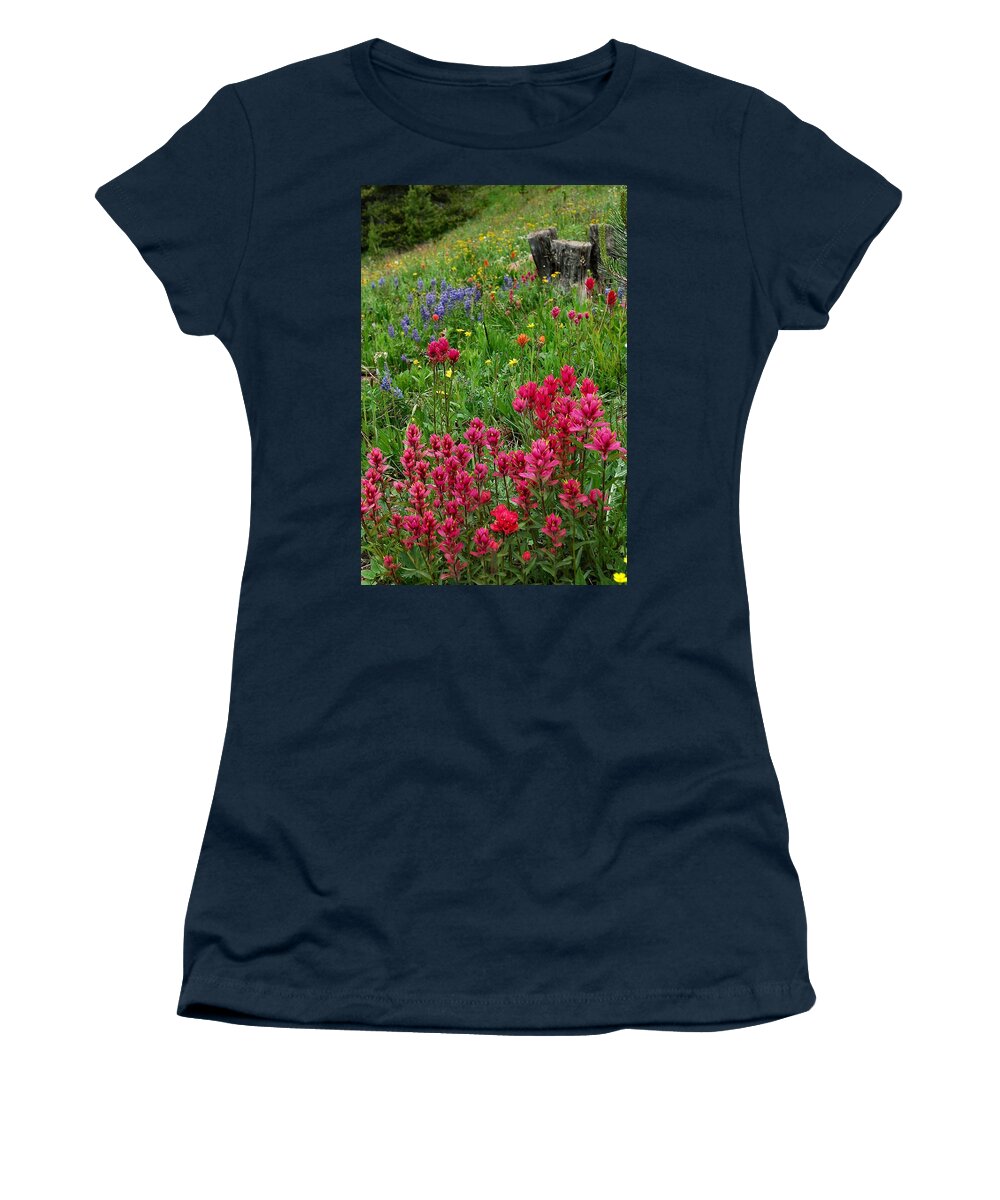 Wildflower Women's T-Shirt featuring the photograph Rocky Mountain Wildflowers by Lynn Bauer