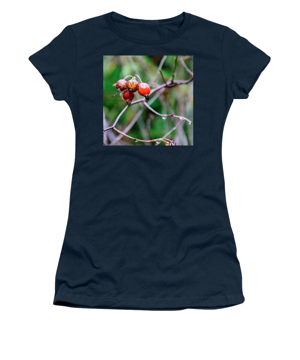 Rose Hip Women's T-Shirt featuring the photograph Rose Hip Wet by Roxy Hurtubise