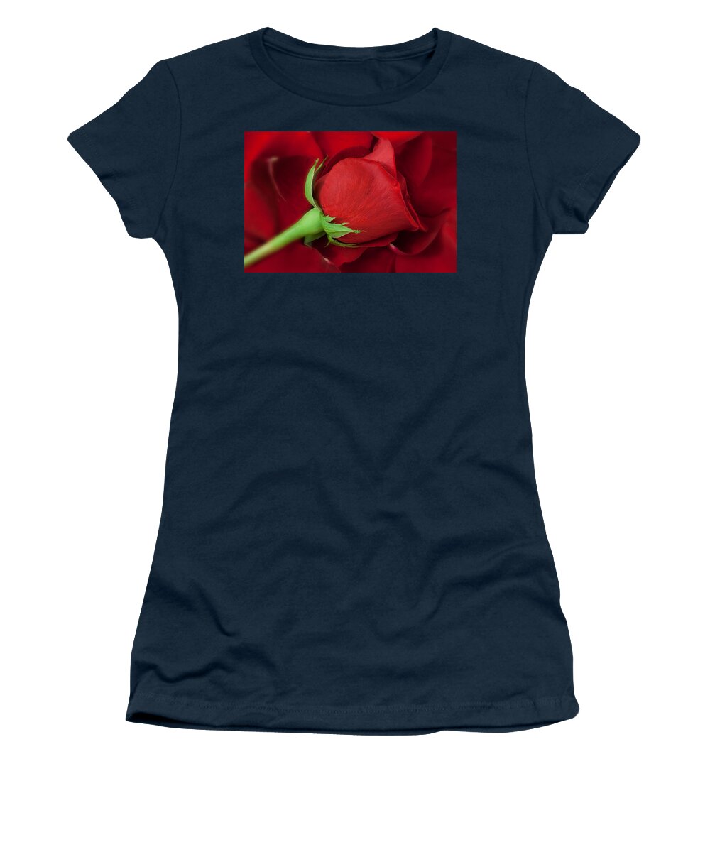 Anniversary Women's T-Shirt featuring the photograph Rose II by Andreas Freund