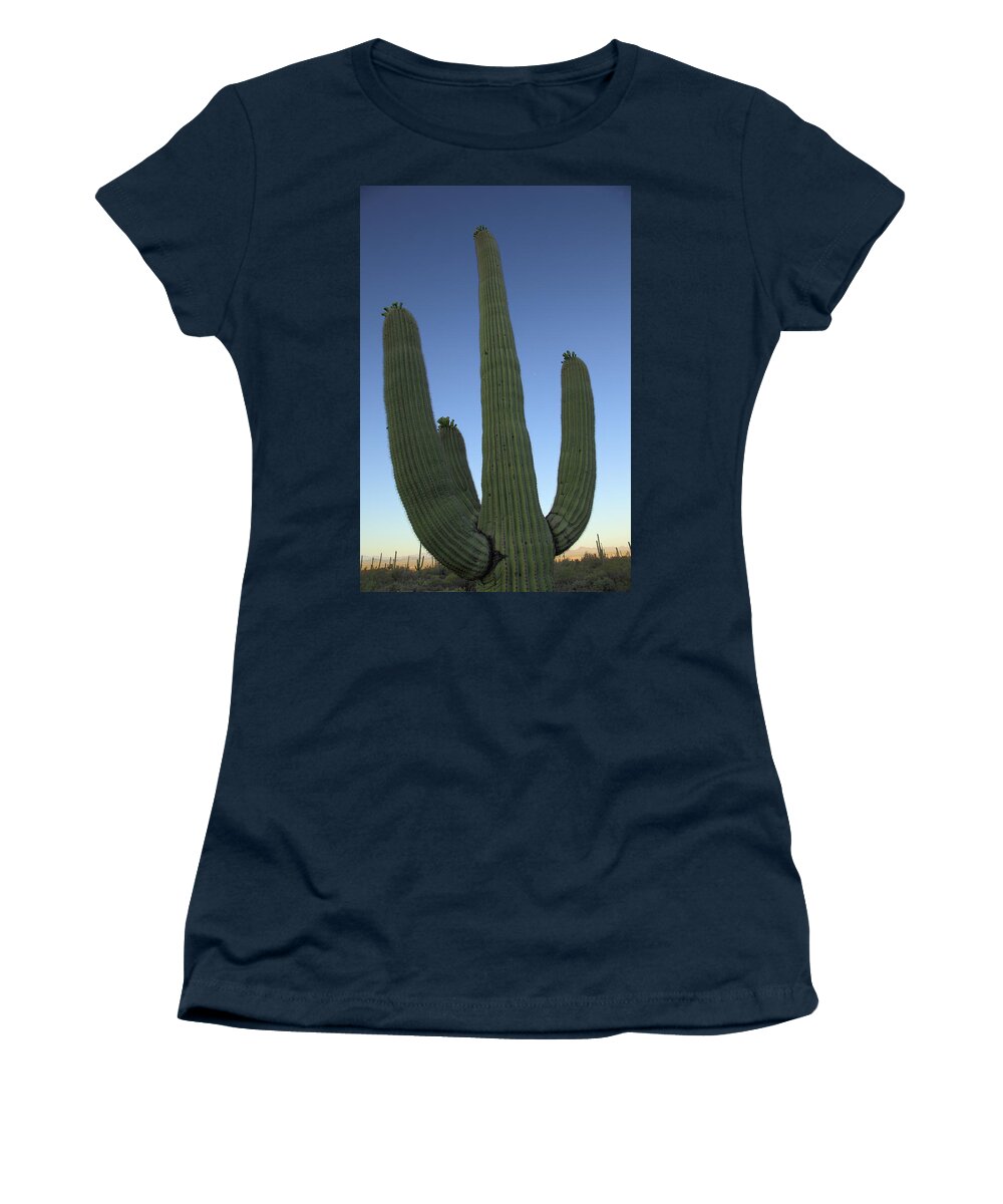 Saguaro Women's T-Shirt featuring the photograph Saguaro Cactus at Sunset by Alan Vance Ley