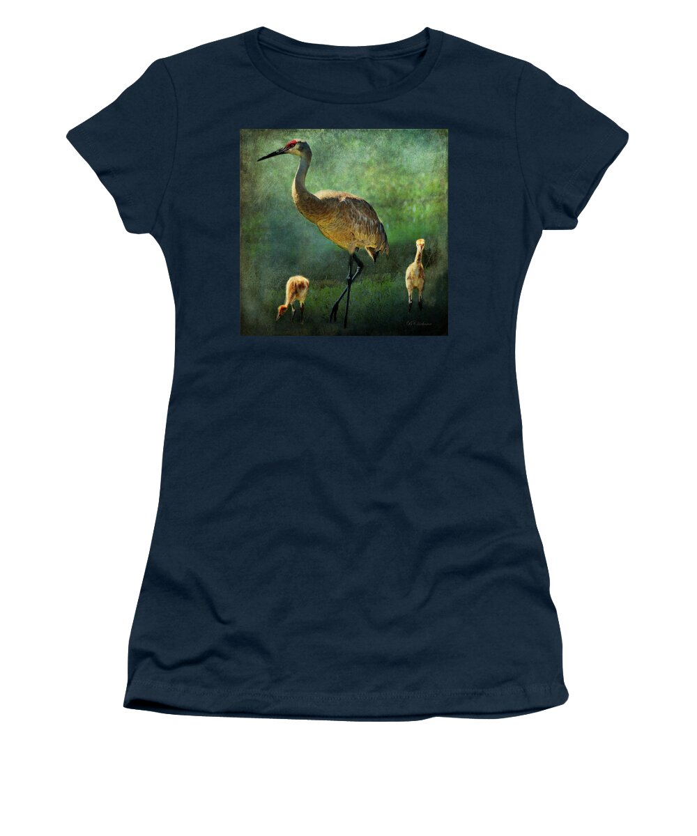 Sandhill Crane Women's T-Shirt featuring the painting Sandhill and Chicks by Barbara Chichester