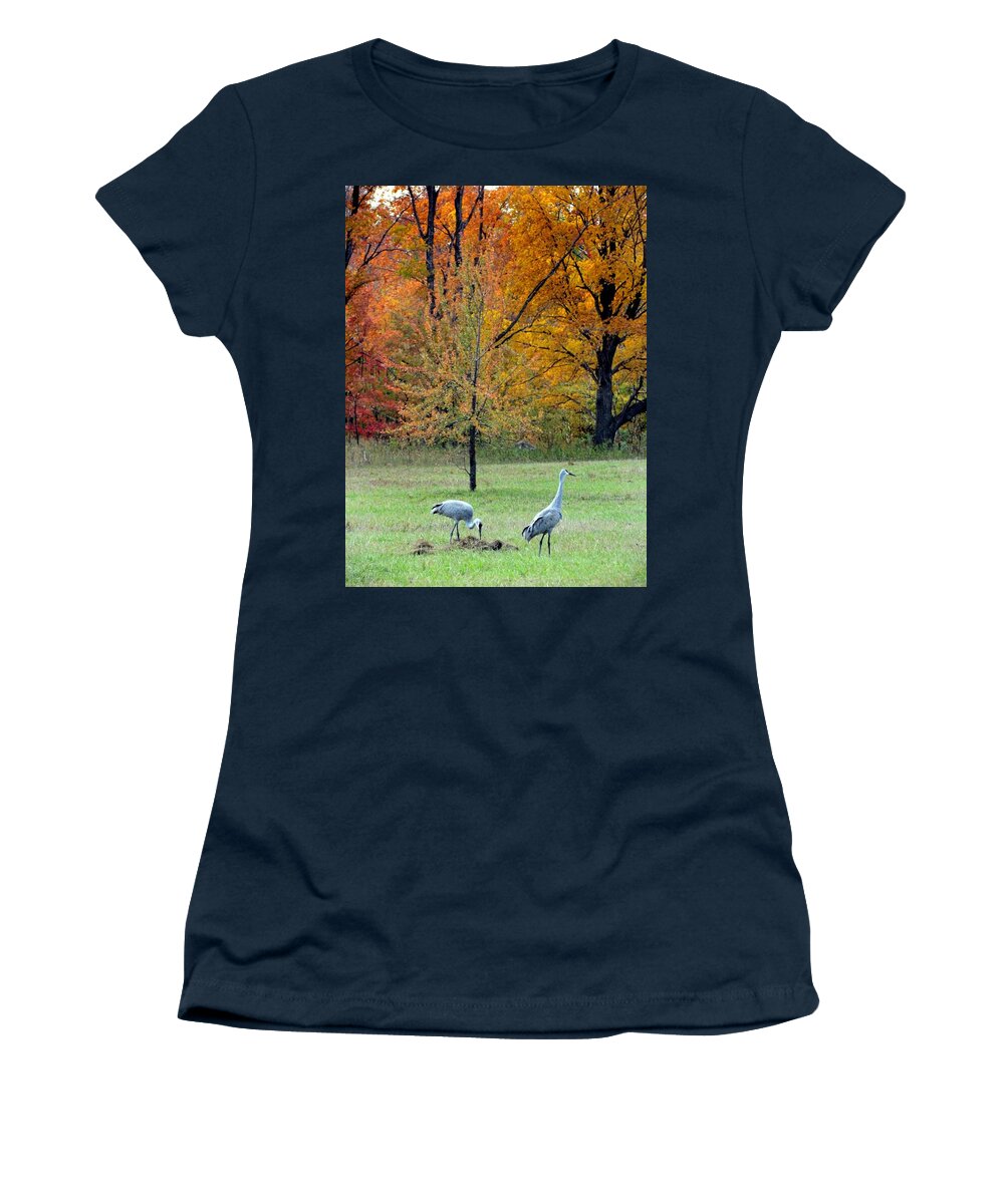 Sandhill Cranes Women's T-Shirt featuring the photograph Sandhill Cranes by David T Wilkinson