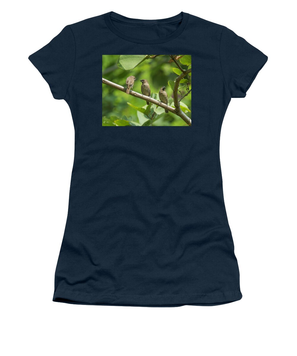 Nature Women's T-Shirt featuring the photograph Scaly-breasted Munia DTHN0109 by Gerry Gantt