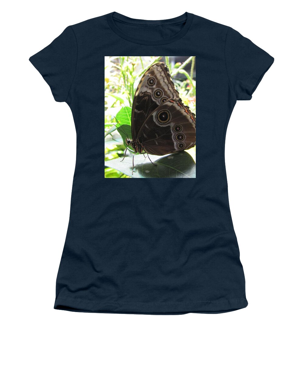 Scarce Morpho Women's T-Shirt featuring the photograph Scarce Morpho by Jennifer Wheatley Wolf