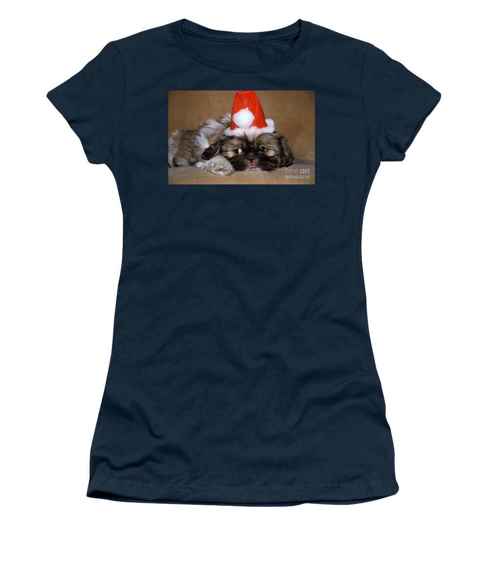 Animal Women's T-Shirt featuring the photograph Shih Tzu Dressed As Santa Claus by Ron Sanford
