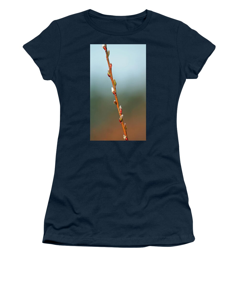 Pussy Willow Women's T-Shirt featuring the photograph Sign Of Spring Pussy Willow by Michael Saunders