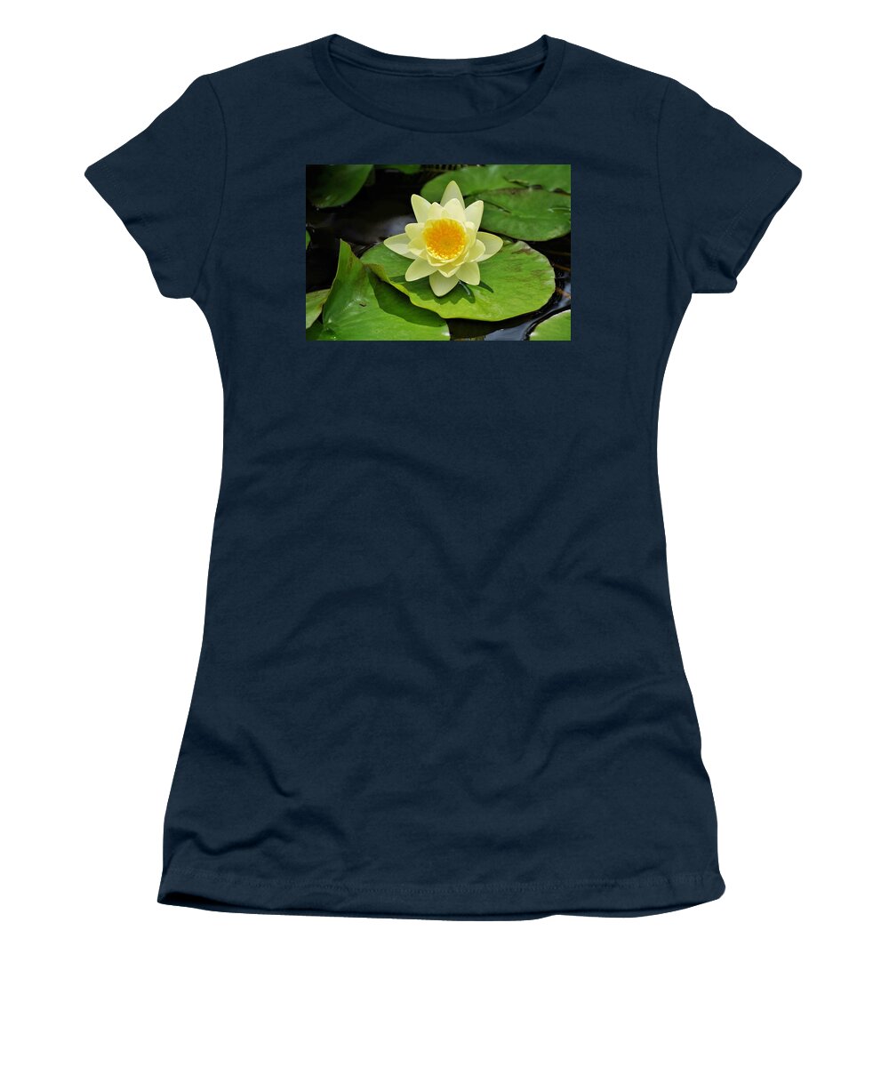 Nature Women's T-Shirt featuring the photograph Sitting Pretty by Jean Goodwin Brooks