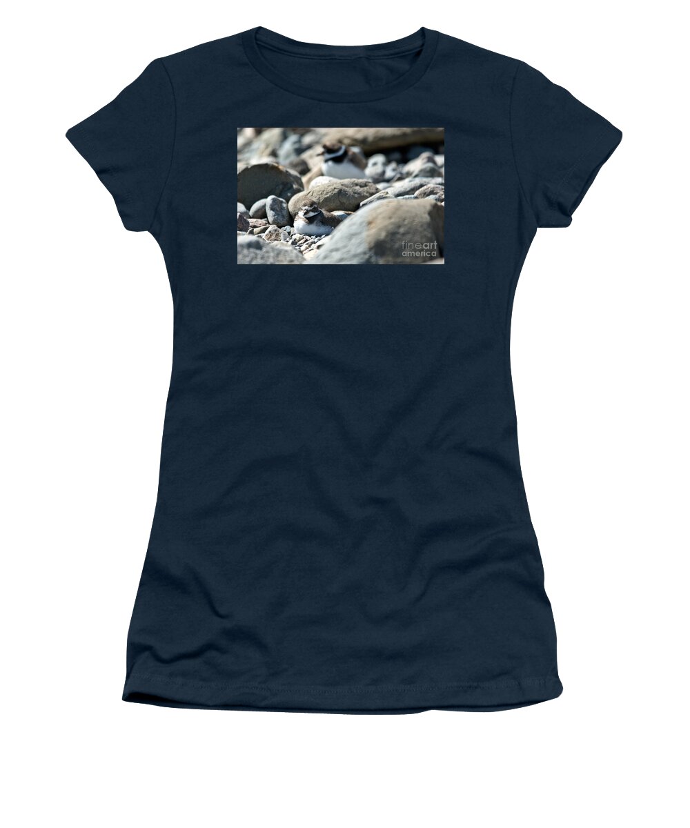  Women's T-Shirt featuring the photograph Sleeping Plover by Cheryl Baxter