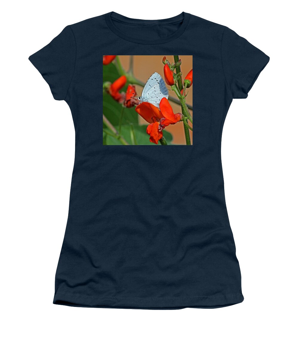 Blue Butterfly Women's T-Shirt featuring the photograph Small Blue Butterfly by Tony Murtagh