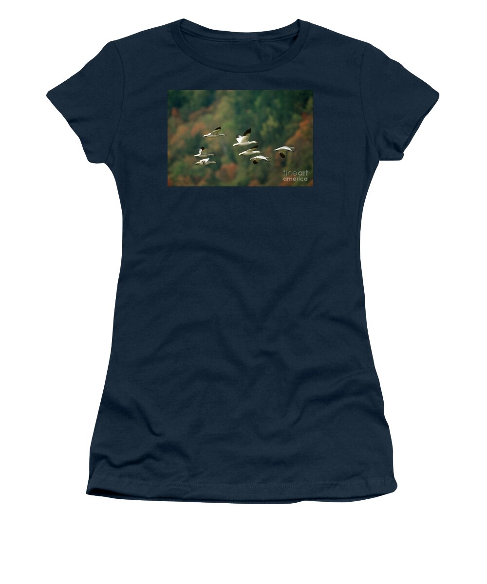 Auna Women's T-Shirt featuring the photograph Snow Geese by James L. Amos