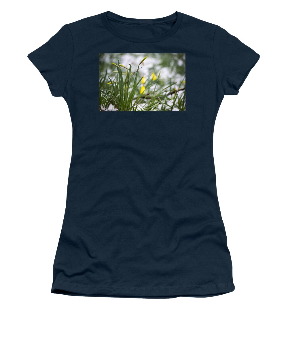 Daffodils Women's T-Shirt featuring the photograph Snowy Daffodils by Spikey Mouse Photography