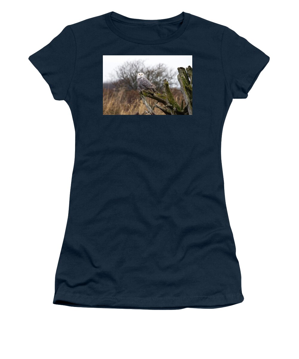 Snowy Owls Women's T-Shirt featuring the photograph Snowy Owl at Boundary bay by Pierre Leclerc Photography
