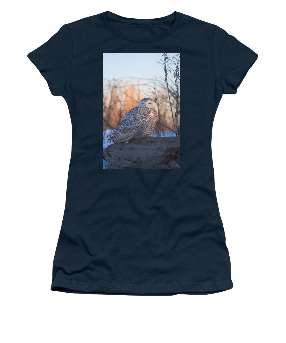Wildlife Women's T-Shirt featuring the photograph Snowy Owl on Log by John Burk