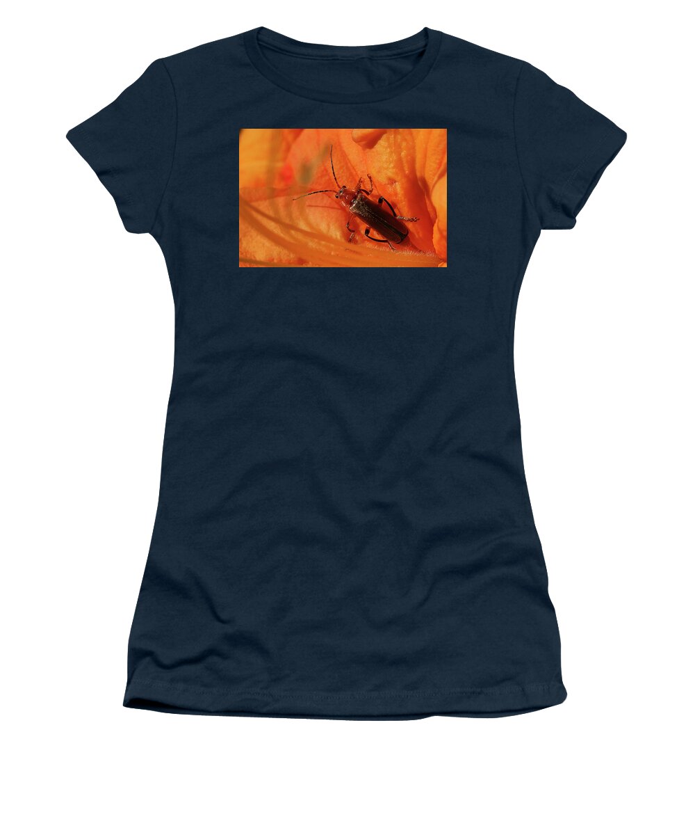 Soldier Beetle Women's T-Shirt featuring the photograph Soldier Beetle by Cindi Ressler