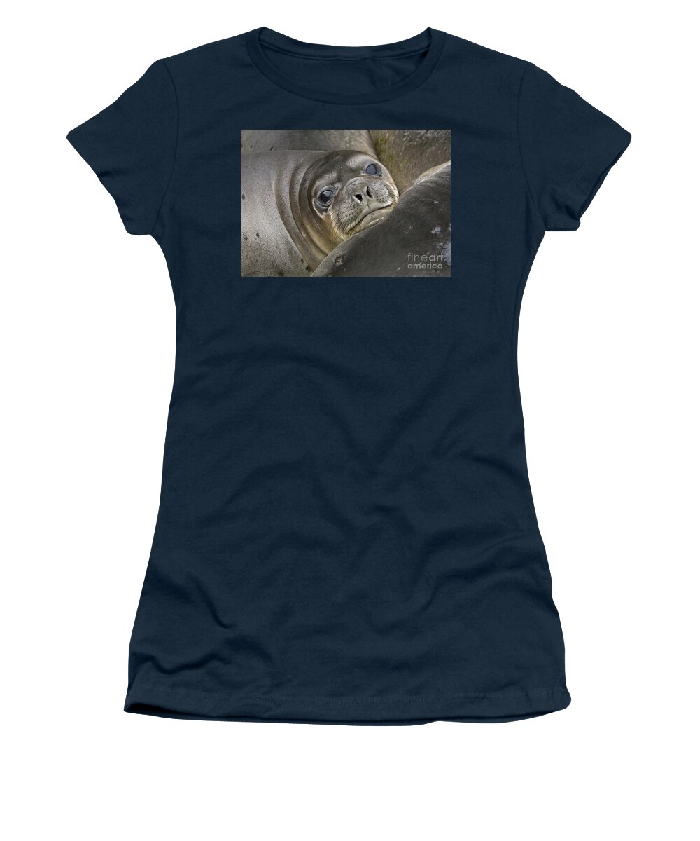 00345917 Women's T-Shirt featuring the photograph Southern Elephant Seal Pup by Yva Momatiuk and John Eastcott
