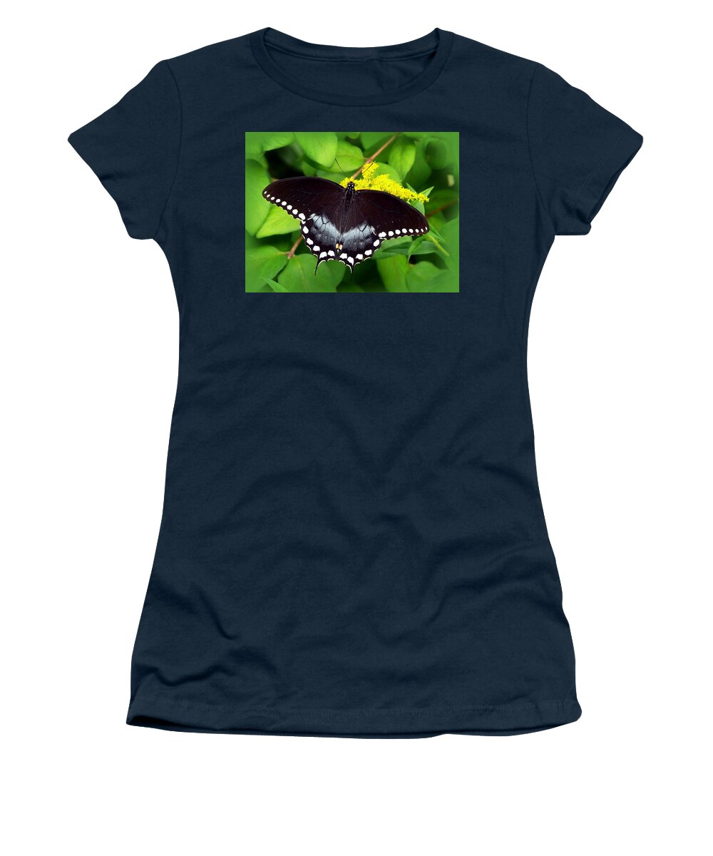 Butterflies Women's T-Shirt featuring the photograph Spicebush Butterfly by Christina Rollo