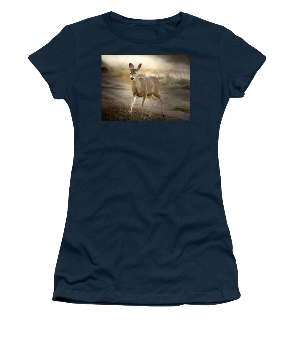 Jean Noren Women's T-Shirt featuring the photograph Spotlighted Mule Deer by Jean Noren