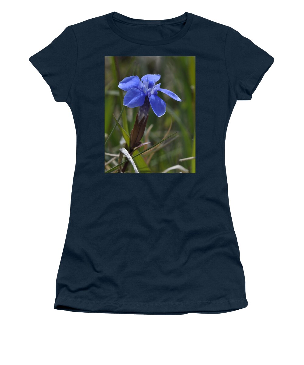 Spring Gentian Women's T-Shirt featuring the photograph Spring Gentian by Rob Hemphill
