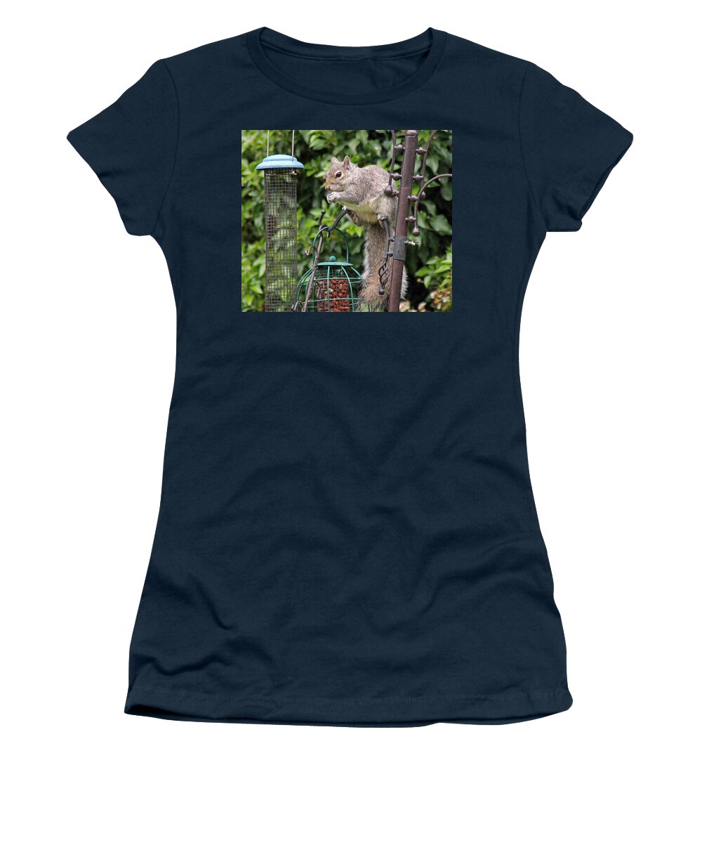 Grey Squirrel Women's T-Shirt featuring the photograph Squirrel eating nuts by Tony Murtagh