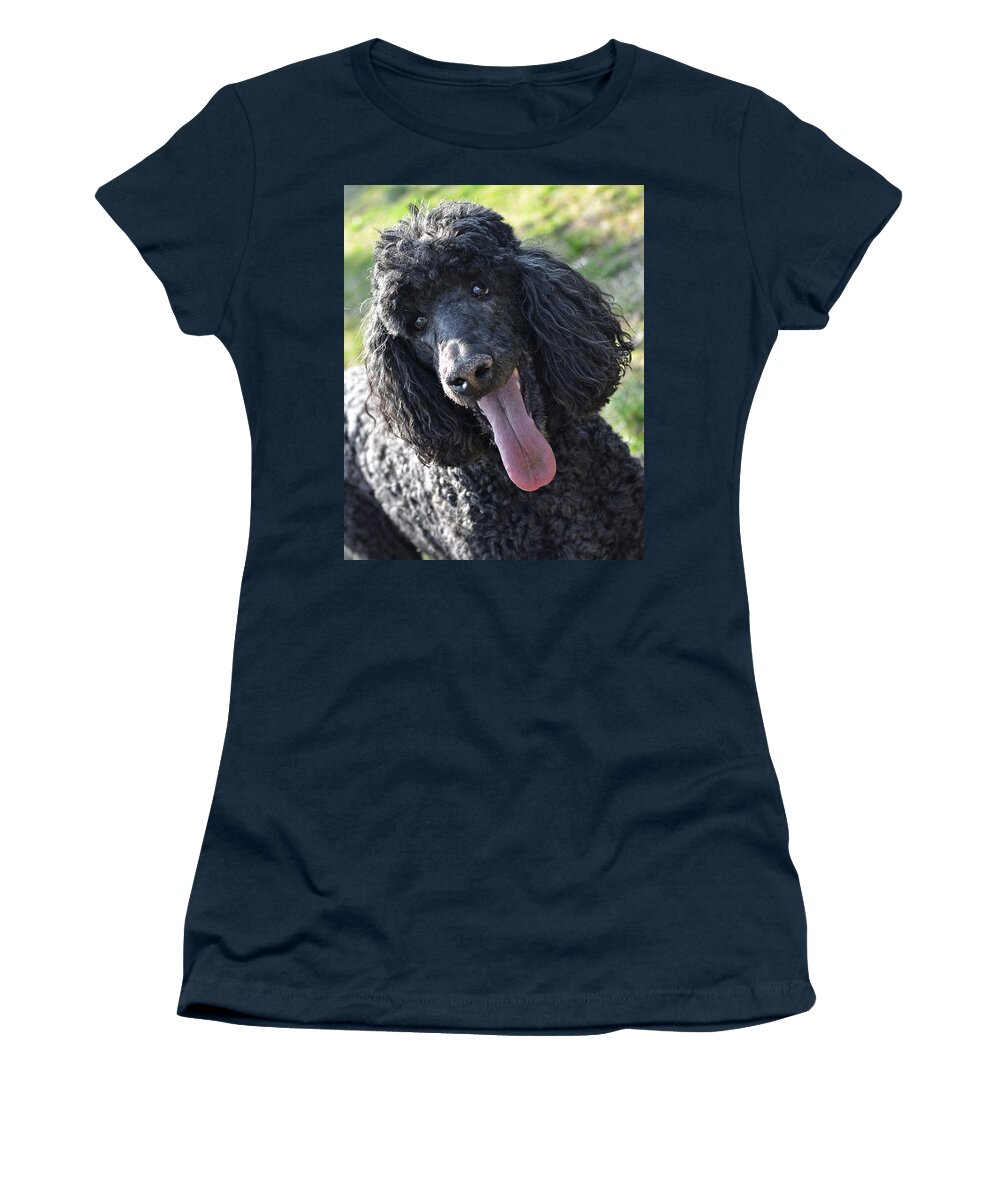 Standard Poodle Women's T-Shirt featuring the photograph Standard Poodle by Lisa Phillips