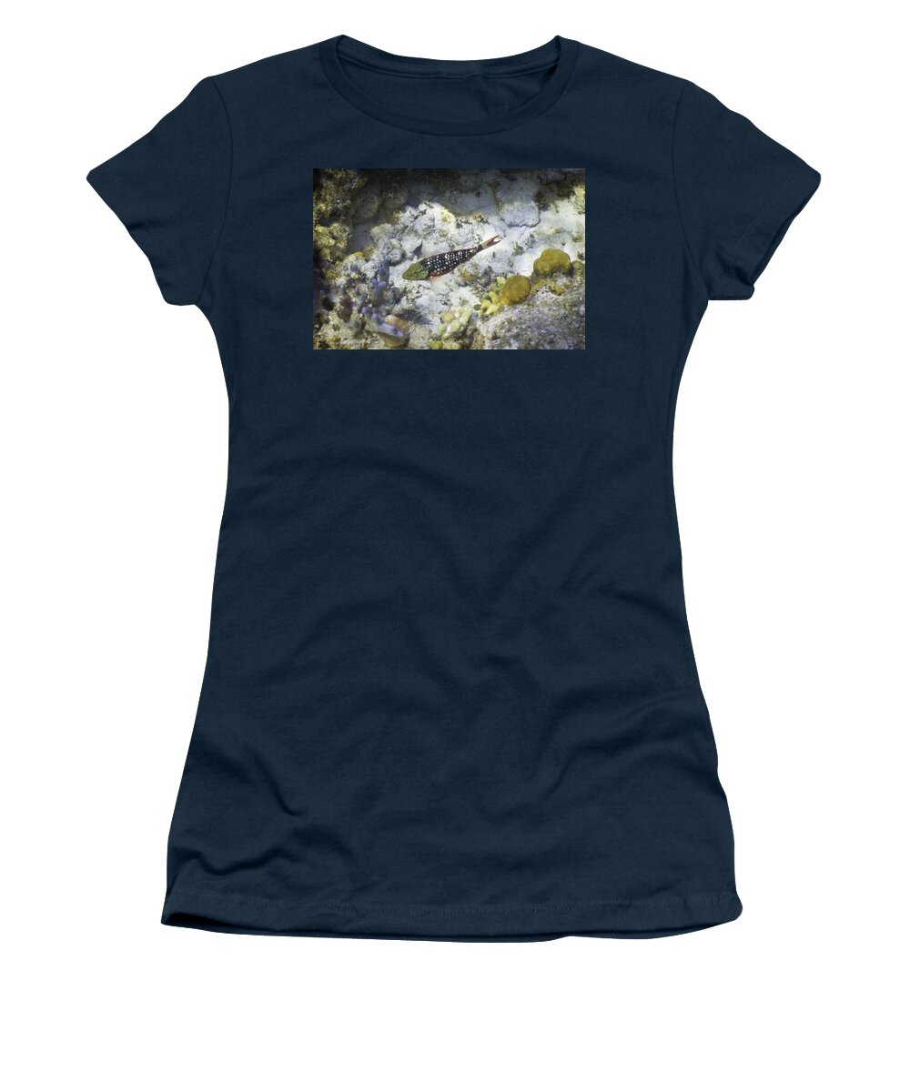 Fish Women's T-Shirt featuring the photograph Stop Look and Listen by Lynne Browne
