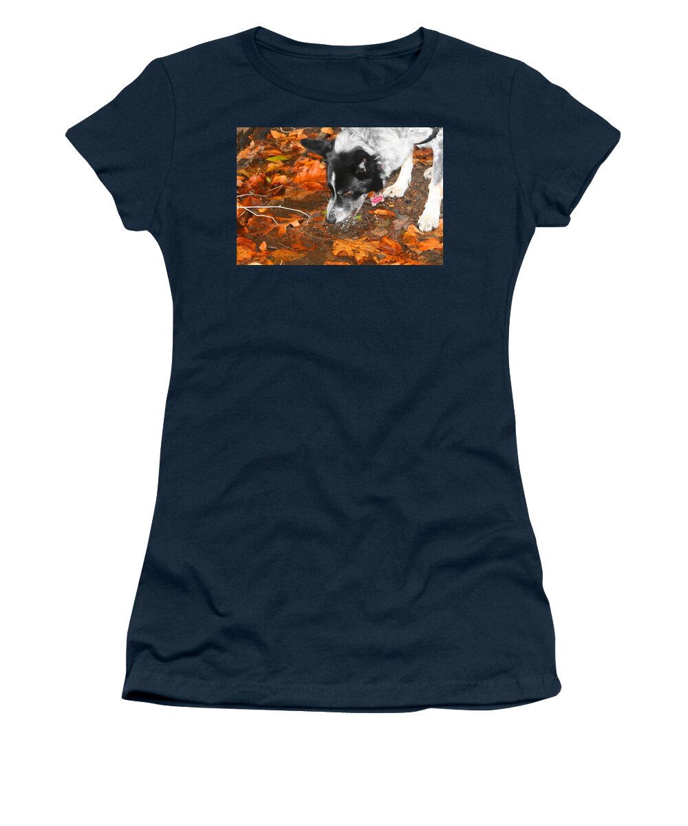 Dog Women's T-Shirt featuring the photograph Stopping for a Drink by Michael Porchik