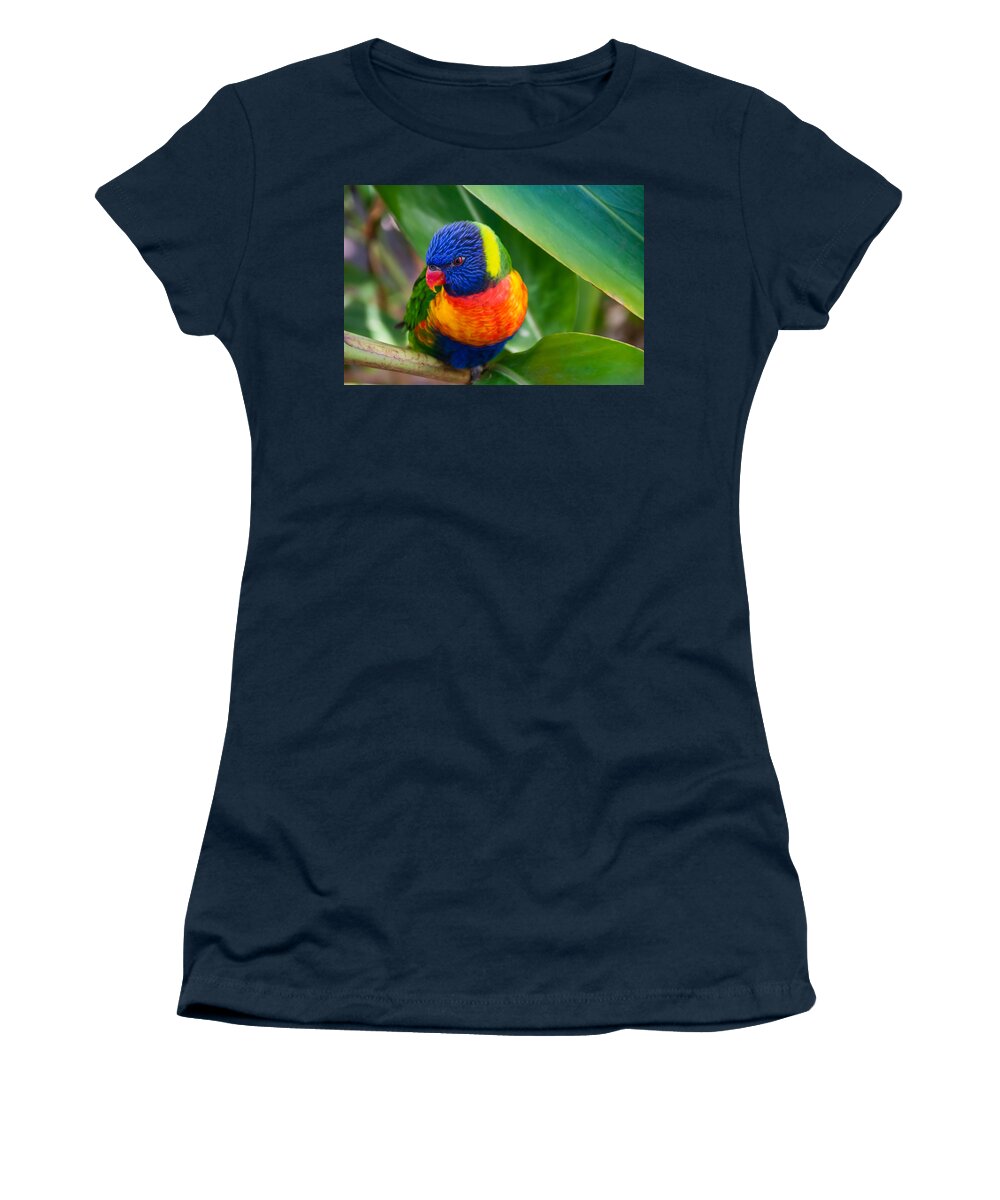 Adorable Women's T-Shirt featuring the photograph Striking Rainbow Lorakeet by Penny Lisowski