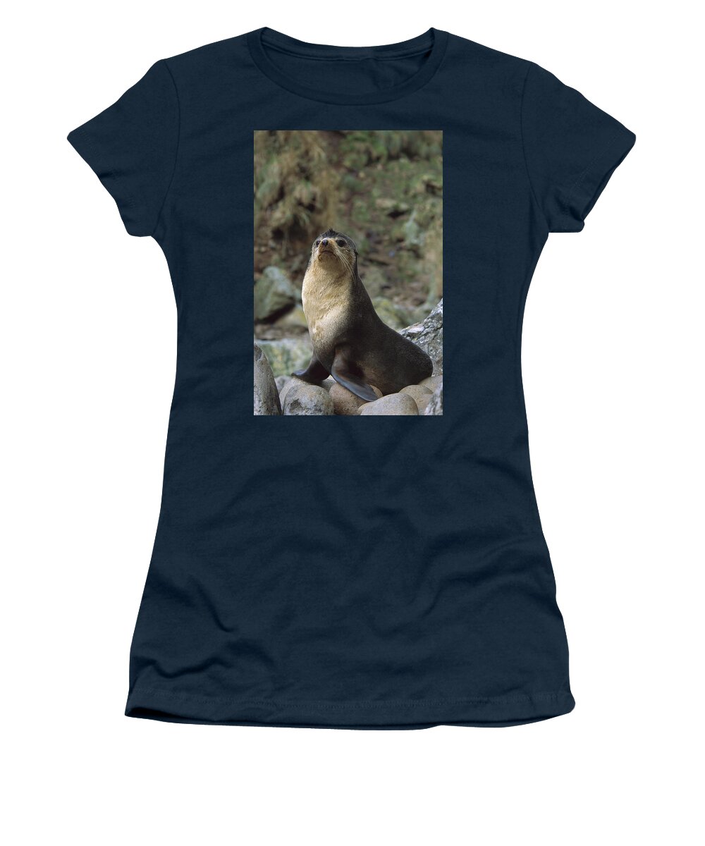 Feb0514 Women's T-Shirt featuring the photograph Subantarctic Fur Seal Male Gough Island by Tui De Roy