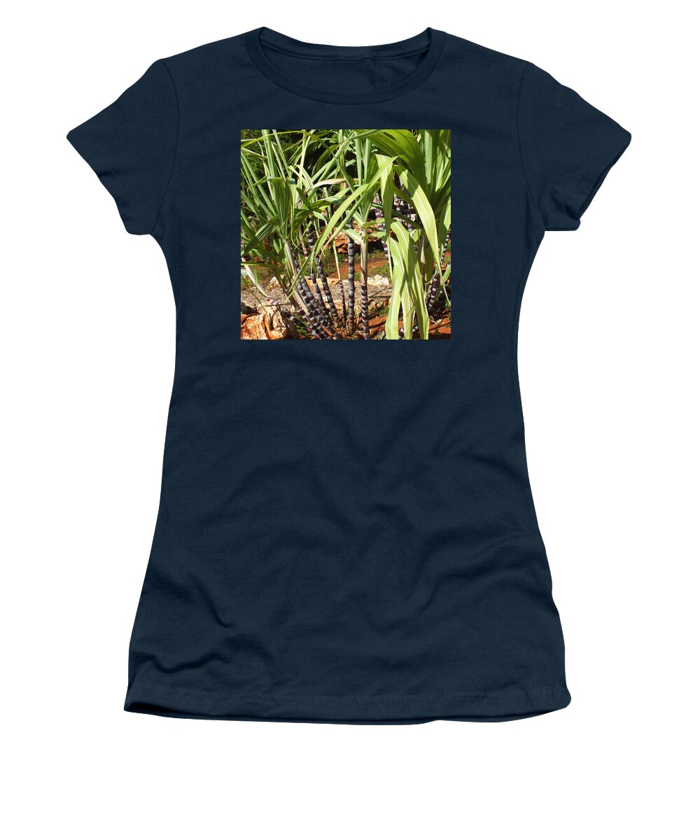 Duane Mccullough Women's T-Shirt featuring the photograph Sugarcane Plants by Duane McCullough