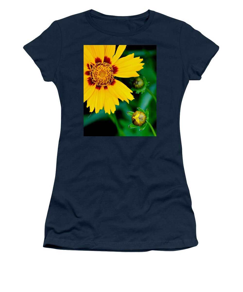 Supreme Women's T-Shirt featuring the photograph Supreme Beauty by Frozen in Time Fine Art Photography