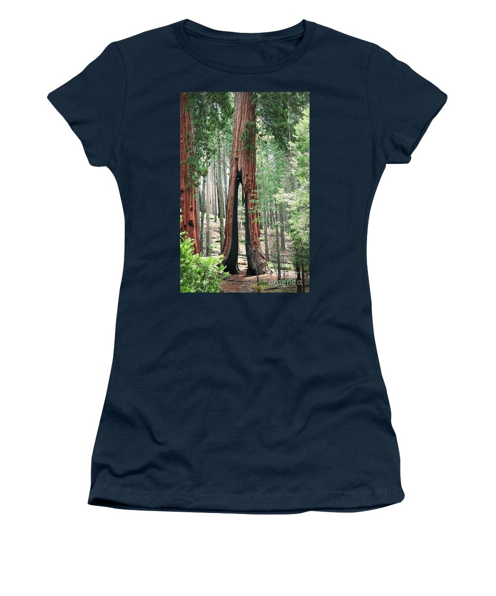 Yosemite Women's T-Shirt featuring the photograph Survivor by Ellen Cotton