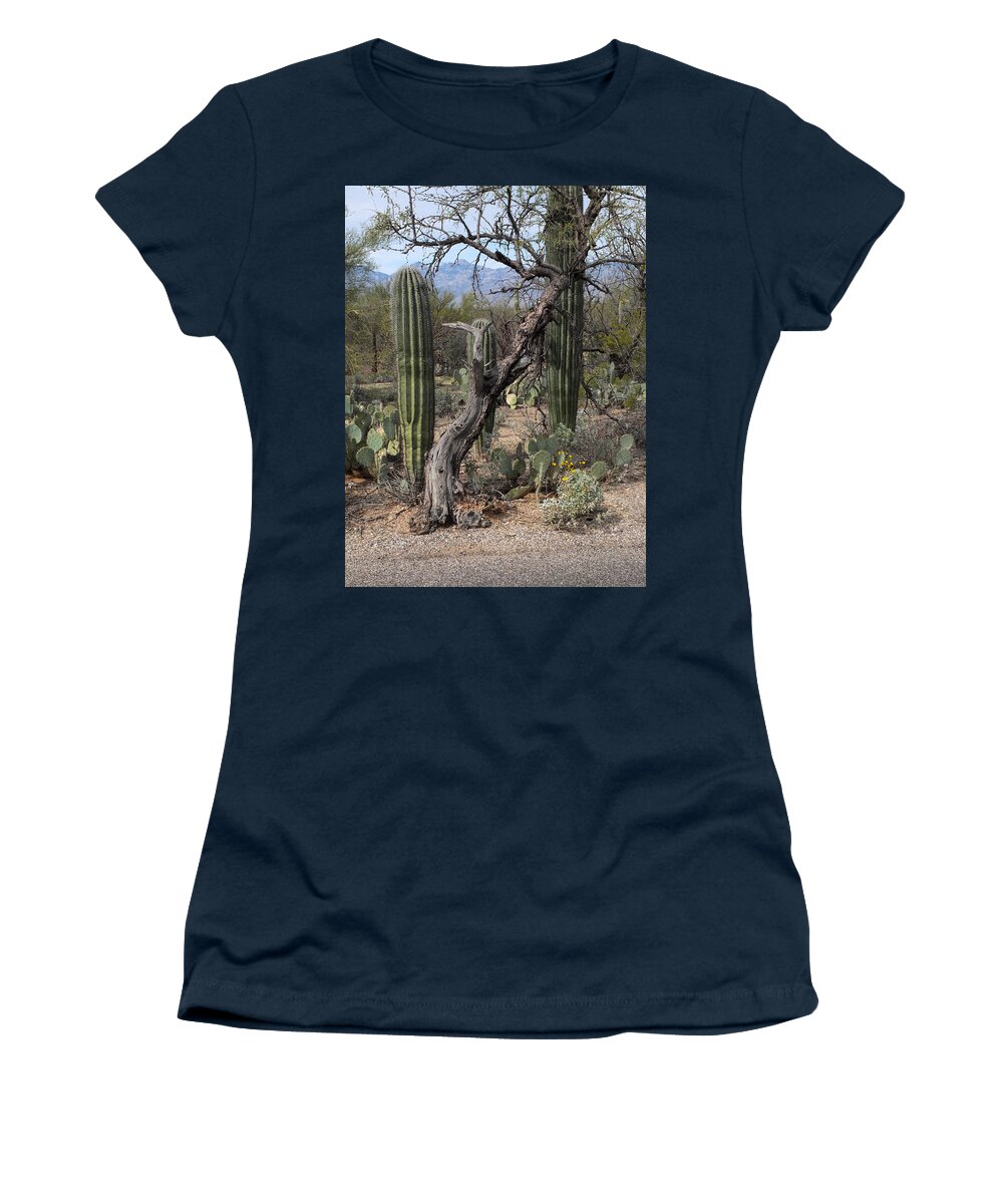 Cactus Women's T-Shirt featuring the photograph Survivors by Michael McGowan