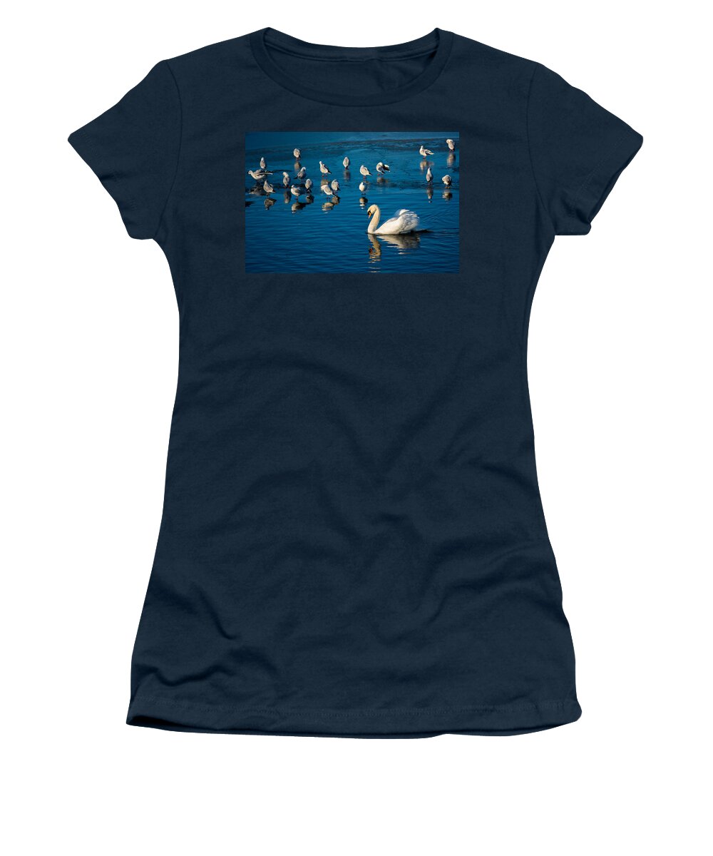 Seagulls Women's T-Shirt featuring the photograph Swan And Seagulls On Frozen Lake by Andreas Berthold
